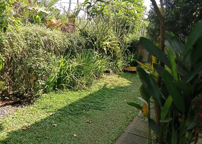 Sunrise Coconut House بيت ضيافة *